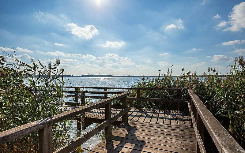 



    
        
                Blankensee,
            
        
                Foto: TMB Tourismus-Marketing Brandenburg GmbH/Steffen Lehmann
            
    
