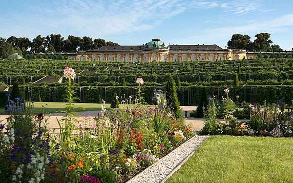 Blick auf Schloss Sanssouci