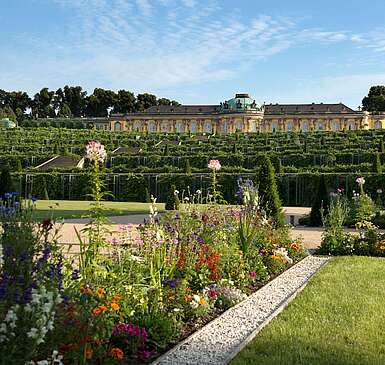 Blick auf Schloss Sanssouci