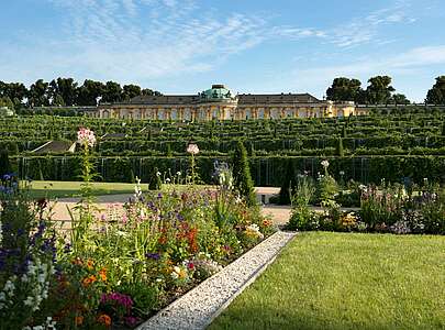 Blick auf Schloss Sanssouci