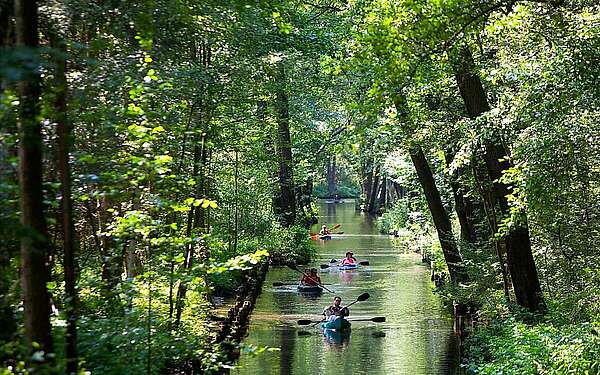 Im Spreewald