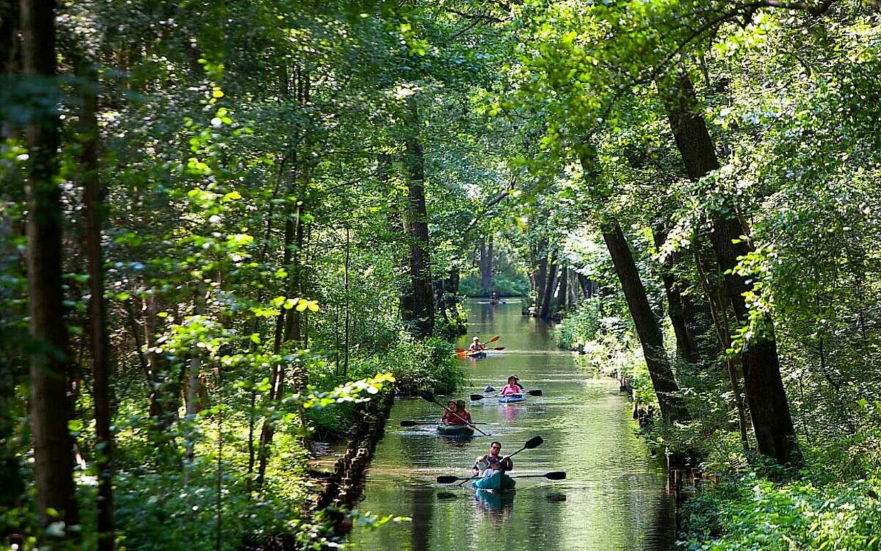 Im Spreewald