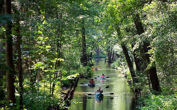 Im Spreewald