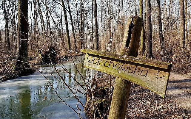 Spreewald im Winter
