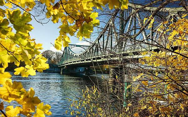 Glienicker Brücke im Herbst