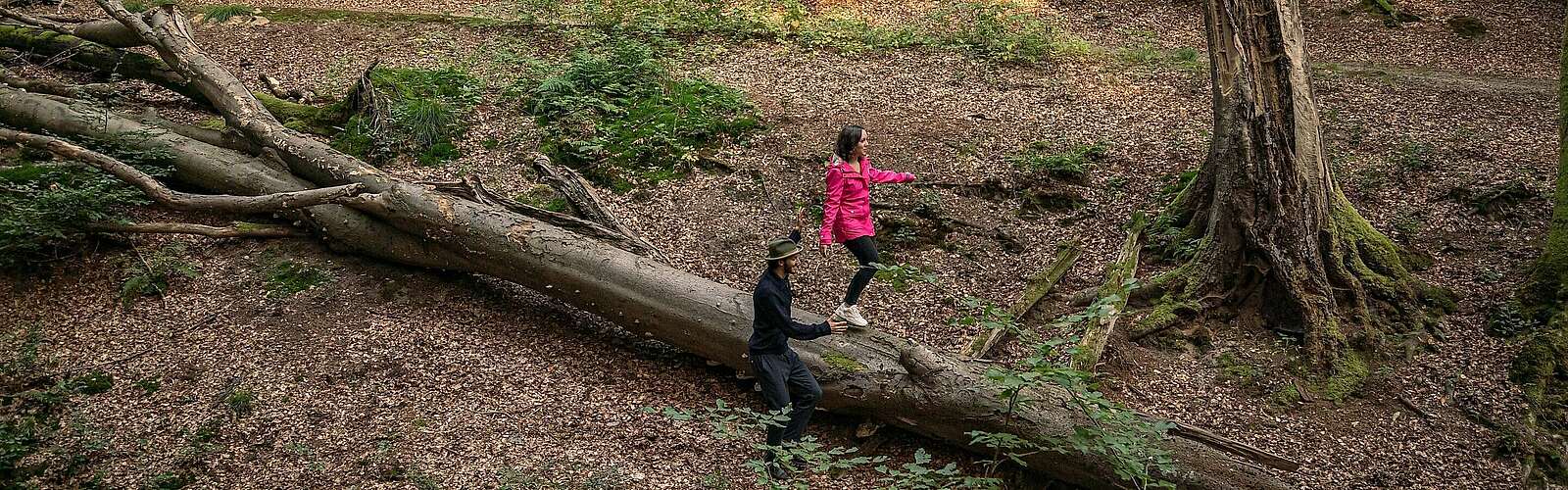 Wanderer am Binenbach,
            
        
                Foto: TMB Tourismus-Marketing Brandenburg GmbH/Steffen Lehmann