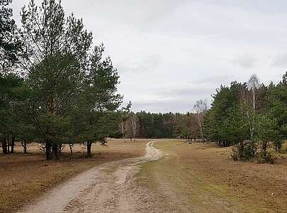 Wildgehege Glauer Tal