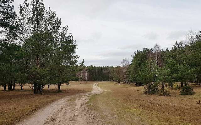 Wildgehege Glauer Tal