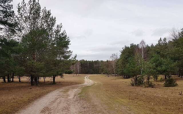 Wildgehege Glauer Tal