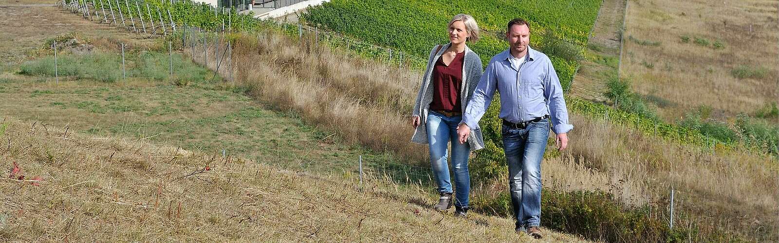 IBA-Terrassen,
            
        
                Foto: Tourismusverband Lausitzer Seenland e.V./Nada Quenzel