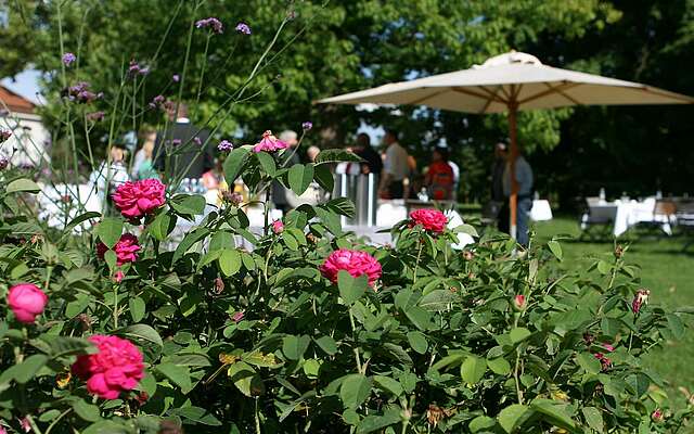 Geselliges Beisammensein im Schlosspark Neuhardenberg