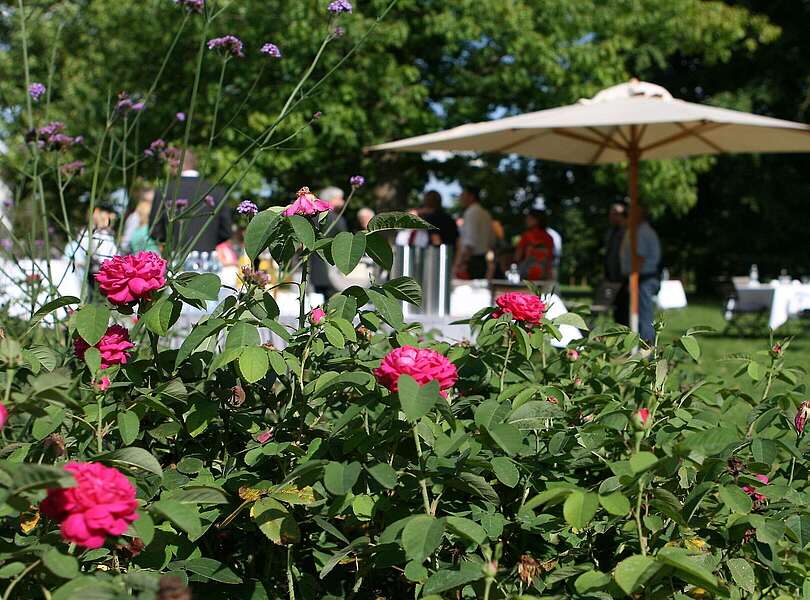 Geselliges Beisammensein im Schlosspark Neuhardenberg