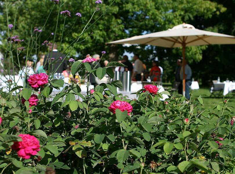 Geselliges Beisammensein im Schlosspark Neuhardenberg