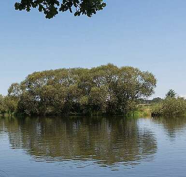 Flusslandschaft Untere Havelniederung