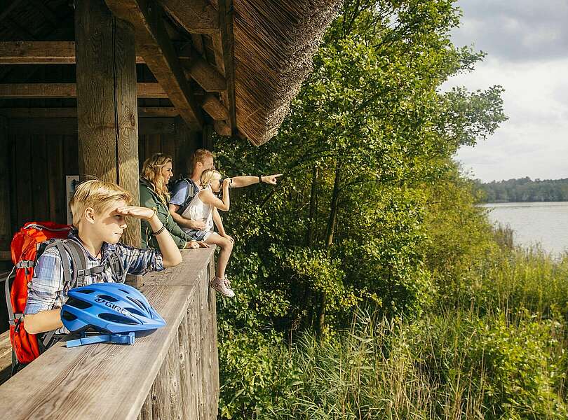 Unterwegs im Müritz Nationalpark