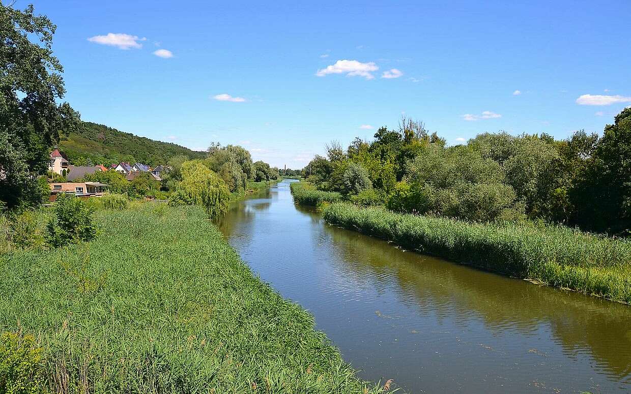 Idyllisch fließt die Alte Oder zwischen Wriezen und Bad Freienwalde, die auch mit dem Kanu erkundet werden kann.