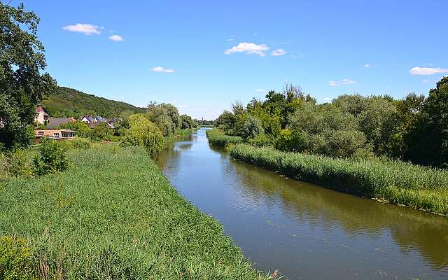 Alte Oder bei Schiffmühle