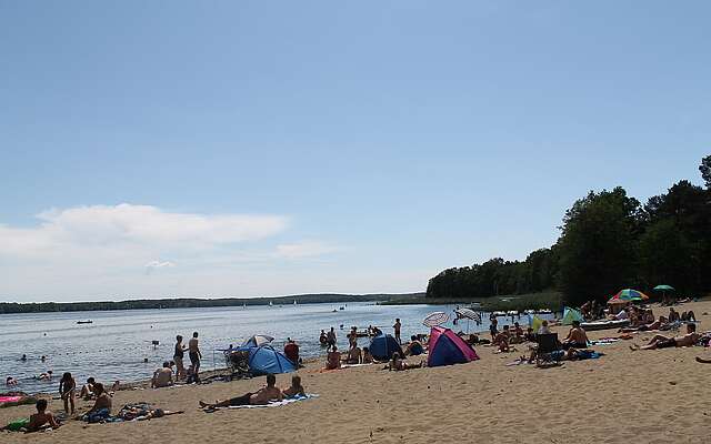 Badestrand Zaue am Schwielochsee