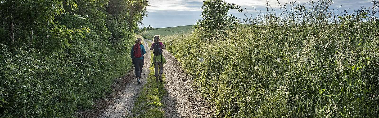 Zwei Wanderer auf einem Feldweg,
        
    

        Foto: Fotograf / Lizenz - Media Import/Klaus-Peter Kappest