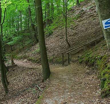 Schlaubetal