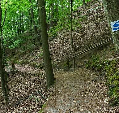 Naturpark Schlaubetal