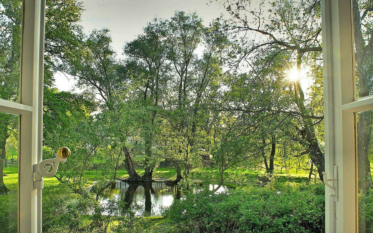 Blick in den Garten des Pfarrhaus Mödlich