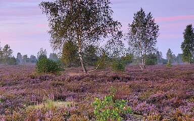 Dämmerung in der Reicherskreuzer Heide