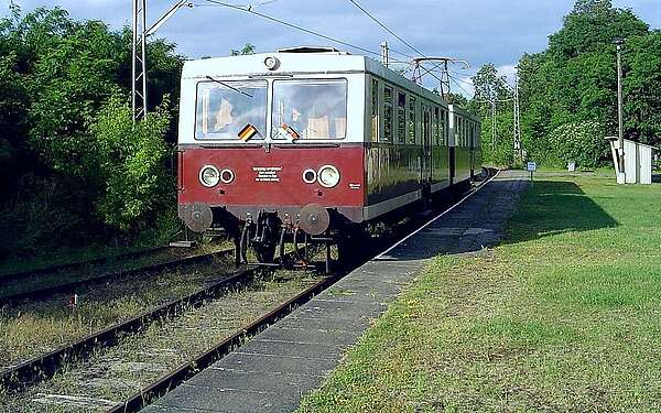 Buckower Kleinbahn