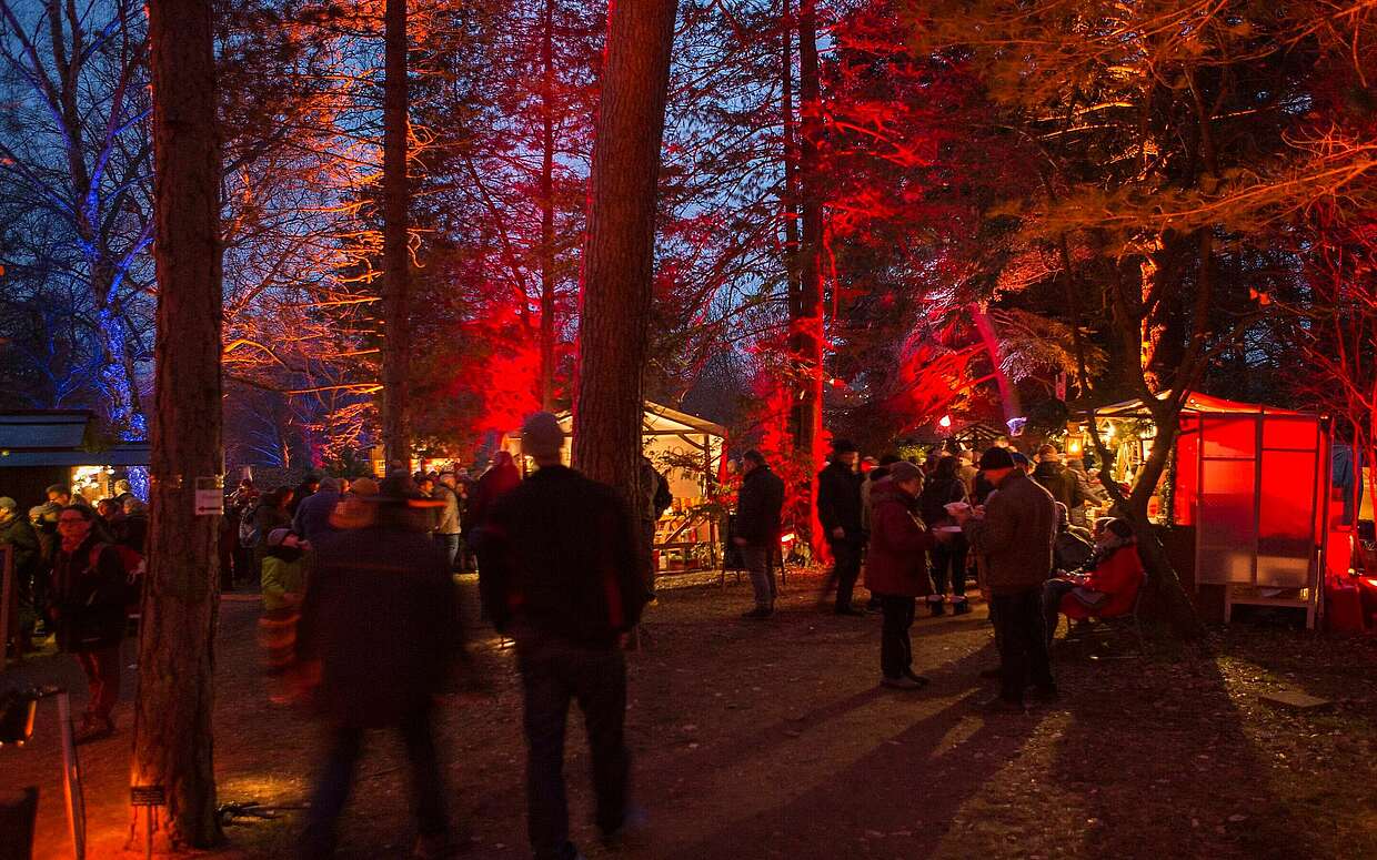 Waldweihnacht in Eberswalde