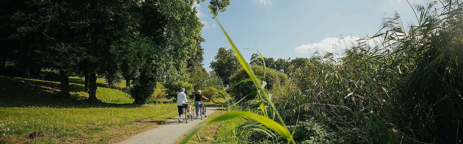 Radausflug im Grüne,
            
        
                Foto: TMB Tourismus-Marketing Brandenburg GmbH/Julia Nimke