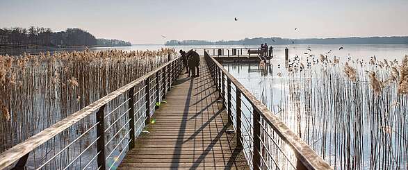 Steg am Scharmützelsee