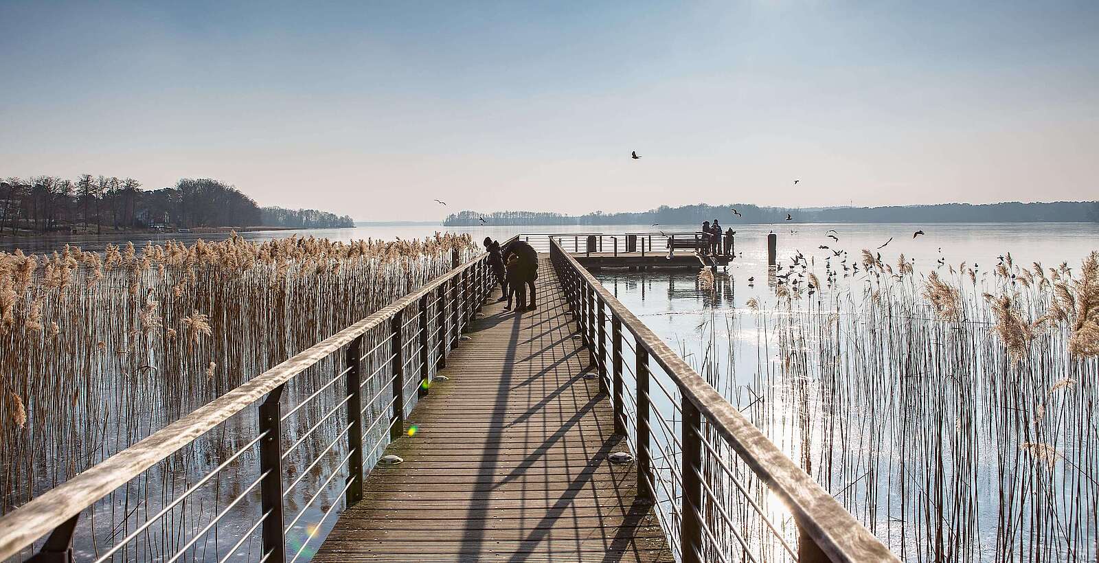 Steg am Scharmützelsee