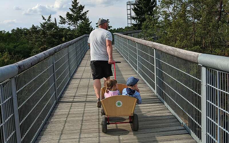 



    
        
                Unterwegs auf dem Baumkronenpfad,
            
        
                Foto: TMB Tourismus-Marketing Brandenburg GmbH/Antje Tischer
            
    
