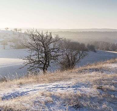 Rummelsberg bei Brodowin