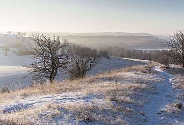 Rummelsberg bei Brodowin