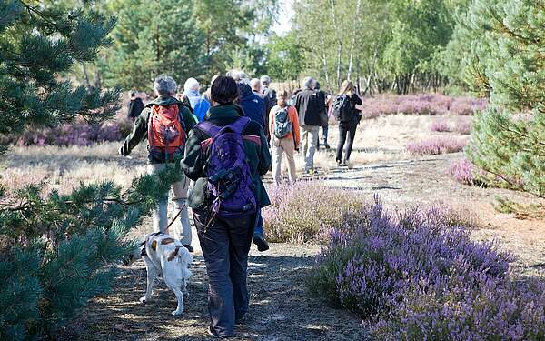 Exkursion im Wildnisgebiet Heidehof
