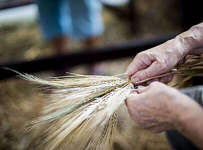 Getreideverarbeitung