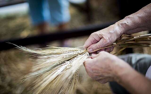 Getreideverarbeitung