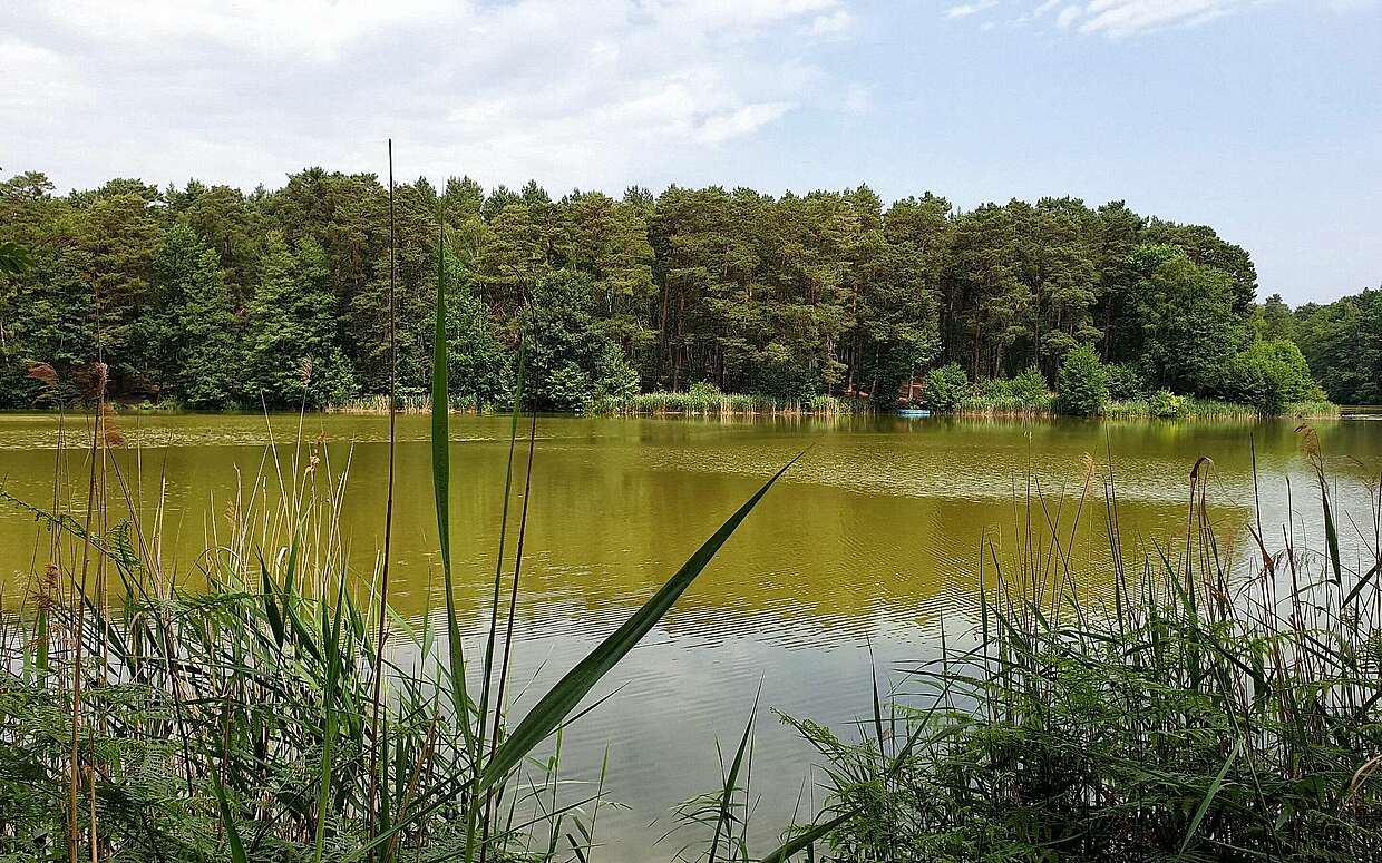 Briesensee