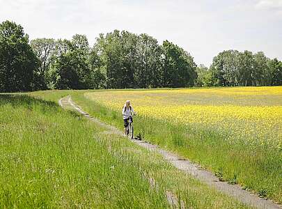 Mit dem Rad in die Natur