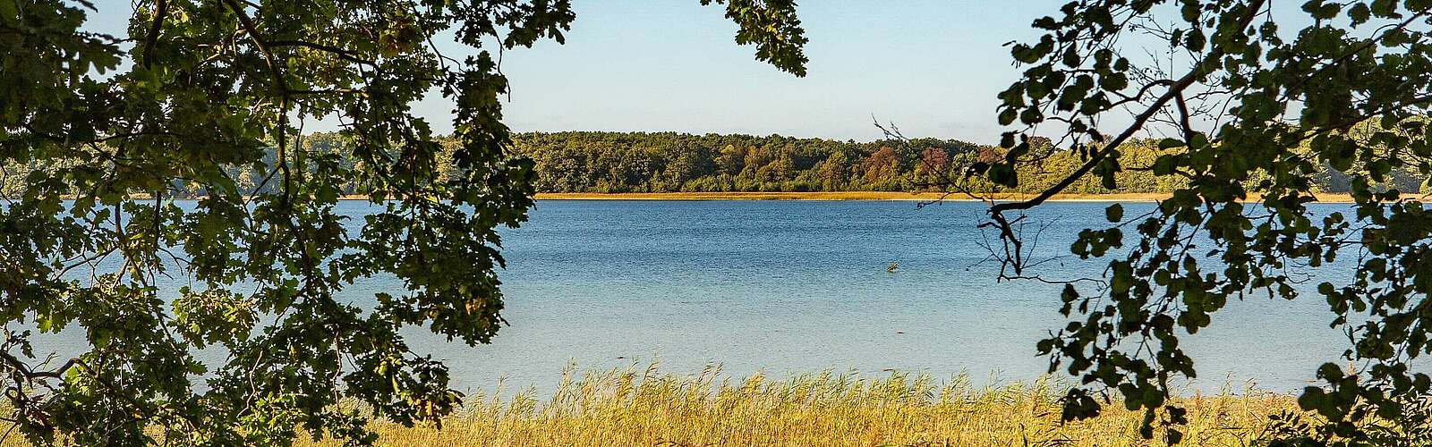 Seddiner See,
            
        
                Foto: TMB Tourismus-Marketing Brandenburg GmbH/Steffen Lehmann