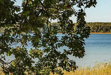 Camping im Fläming