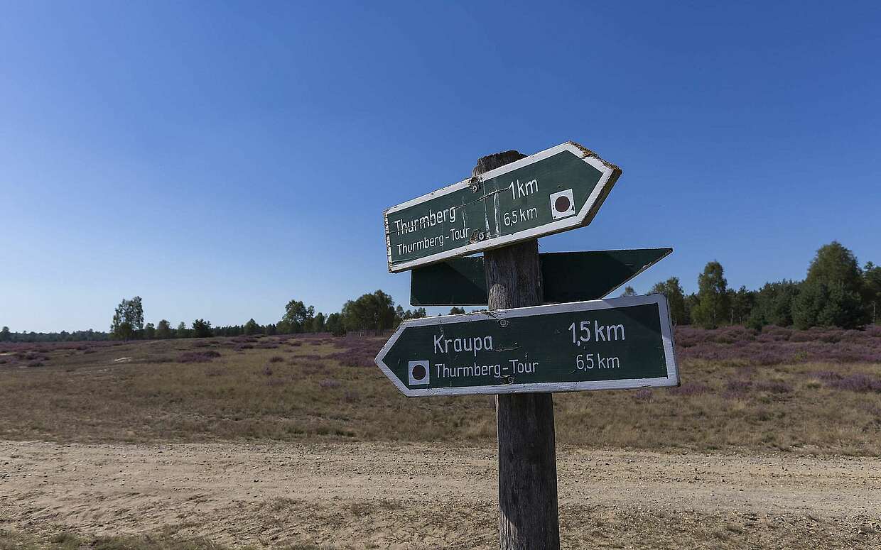 Wegweiser im Naturschutzgebiet "Forsthaus Prösa"