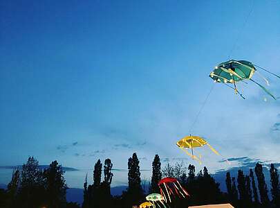 blankit Festival