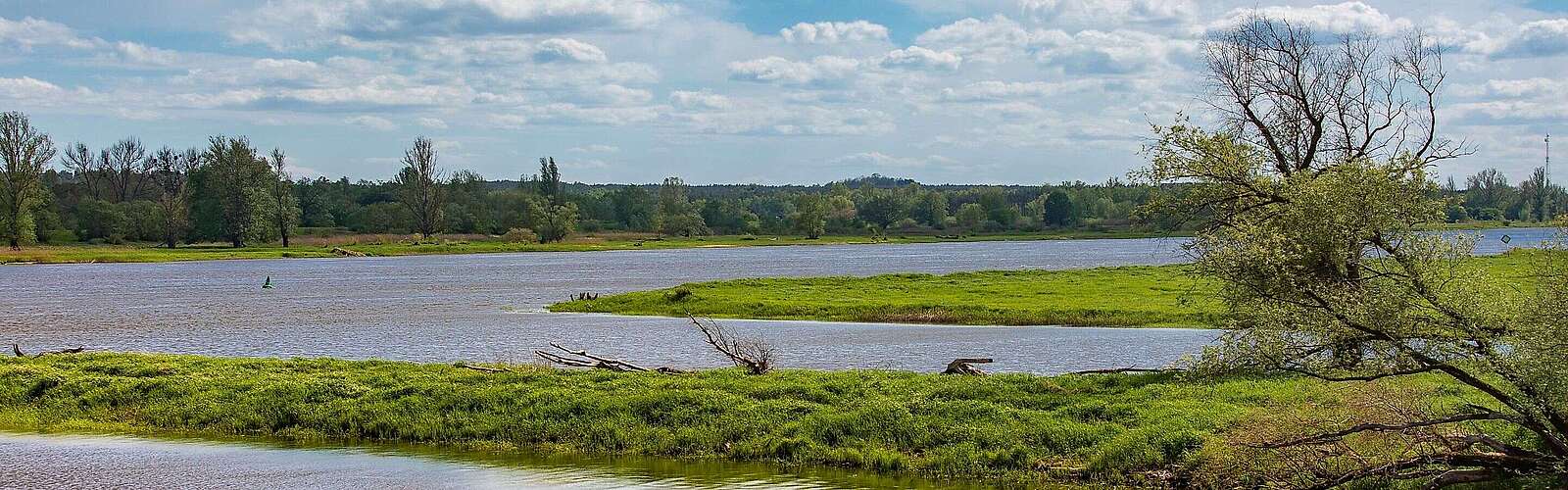 Blick auf die Wiesen im Oderbruch bei Hohenwutzen