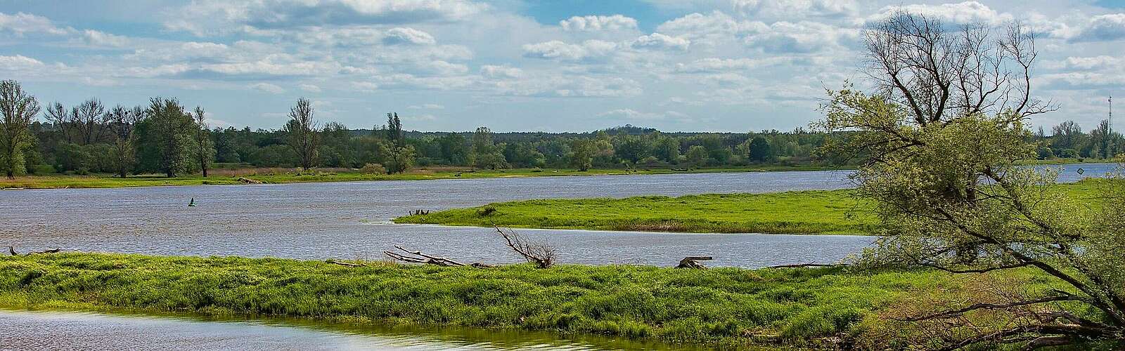 Blick auf die Wiesen im Oderbruch bei Hohenwutzen,
            
        
                Foto: TMB Tourismus-Marketing Brandenburg GmbH/Steffen Lehmann