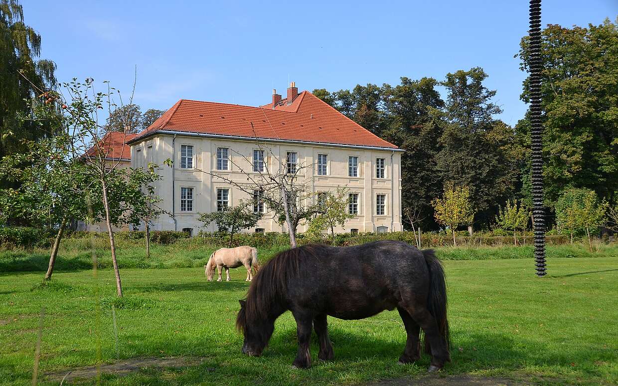 Tierische Idylle und große Kunst vor Schloss Schwante: Die acht Meter hohe Säule aus Bronzetellern stammt vom Künstler Gregor Hildebrandt.