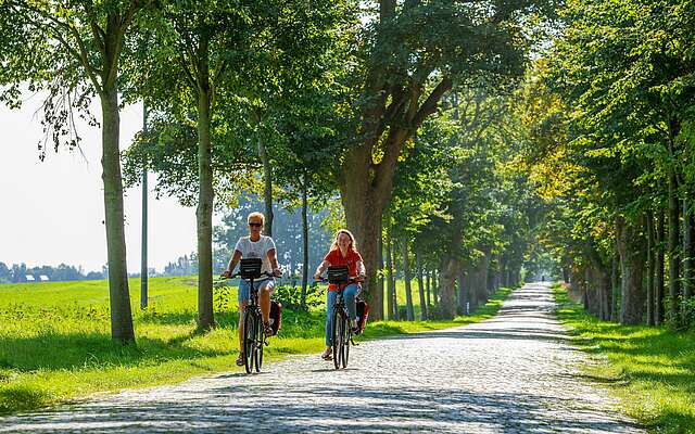 Radfahrerinnen auf einer Allee