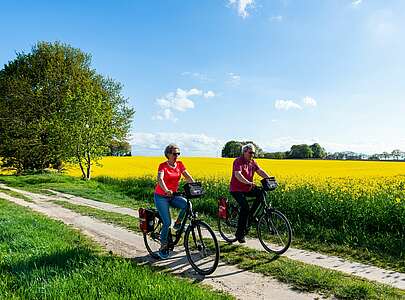 Radfahrer an einem Rapsfeld