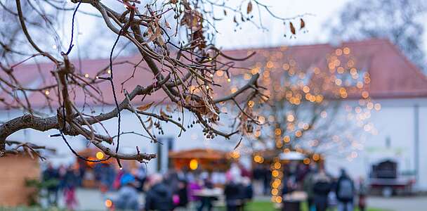 Adventsmarkt Schloss Neuhardenberg